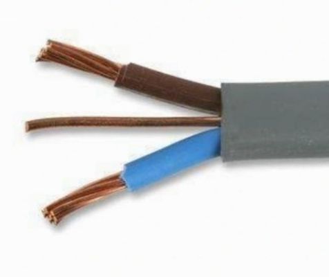 450/750v 3 πυρήνες καθαρό χαλκό PVC Jacket Γήπεδο καλώδιο γήπεδο καλώδιο γήπεδο ευέλικτο καλώδιο ηλεκτρικό καλώδιο πρότυπο BS 6004
